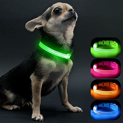 best light up collar for small dogs